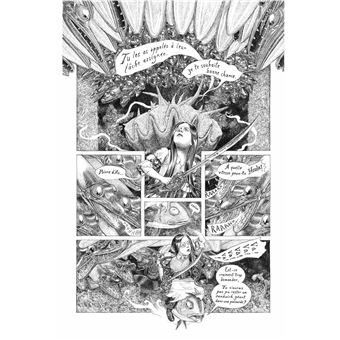 3. La fille maudite du Capitaine Pirate T03