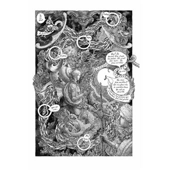 3. La fille maudite du Capitaine Pirate T03