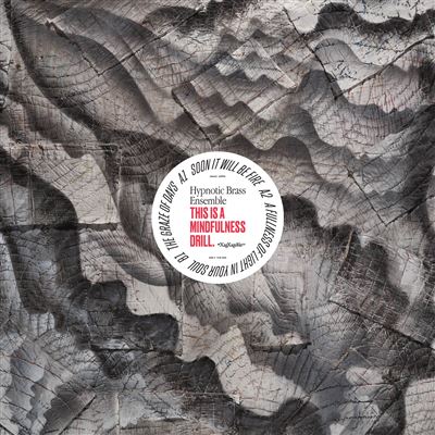 This Is A Mindfulness Drill Vinyle Coloré