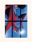 Poster 80 Years Spider-Man