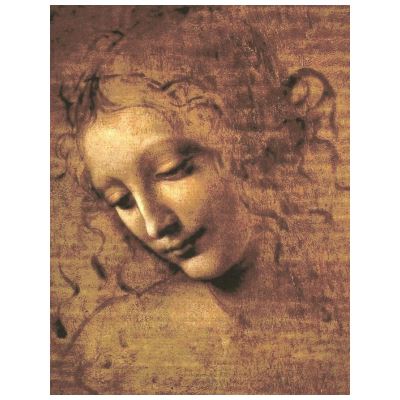 Léonard en France Le maître et ses élèves 500 ans après la traversée des Alpes 1512-2016