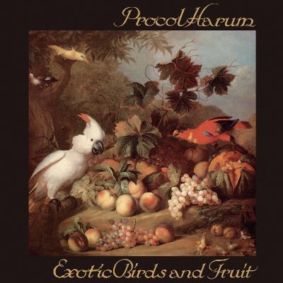 Exotic birds and fruit/digipack