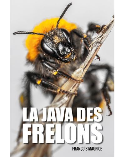 La java des frelons - François Maurice - broché