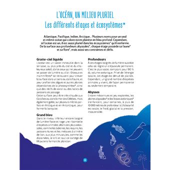 Les Cerveaux sous l'eau - L'Intelligence des animaux marins