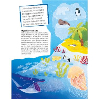 Les Cerveaux sous l'eau - L'Intelligence des animaux marins