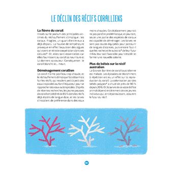 Les Cerveaux sous l'eau - L'Intelligence des animaux marins