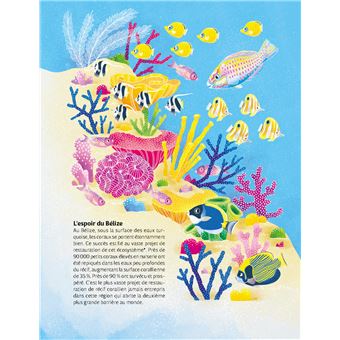 Les Cerveaux sous l'eau - L'Intelligence des animaux marins