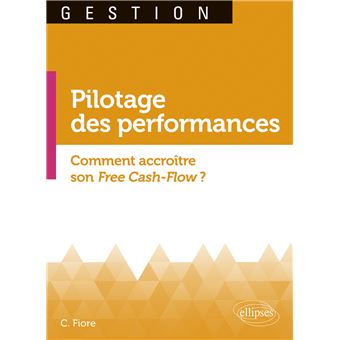 Le pilotage des performances