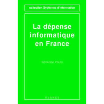 La dépense informatique en France