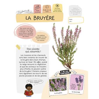 Je sais reconnaître les fleurs