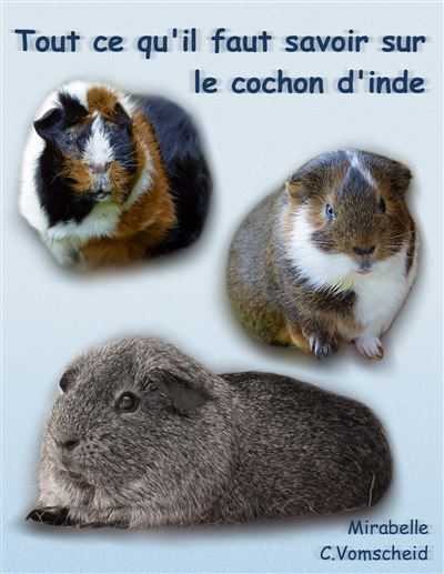 Tout ce qu'il faut savoir sur le cochon d'inde (nouvelle édition)