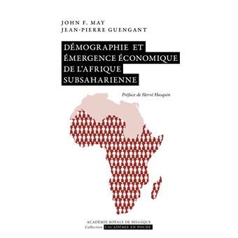 Démographie et émergence économique de l'Afrique subsaharienne
