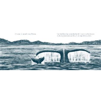 Petite baleine