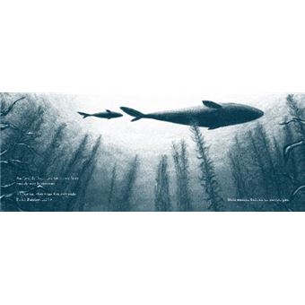 Petite baleine