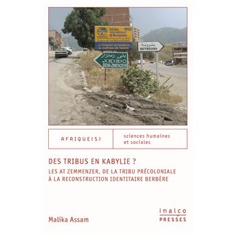 Des tribus en Kabylie ?