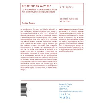 Des tribus en Kabylie ?