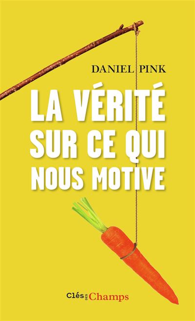 La vérité sur ce qui nous motive - Poche - Daniel H. Pink, Frédéric  Rey-Millet, Isaac Getz - Achat Livre