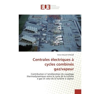 Centrales électriques à cycles combinés gaz/vapeur