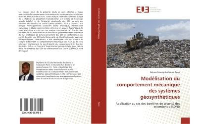 Modelisation du comportement mecanique des systemes geosynth