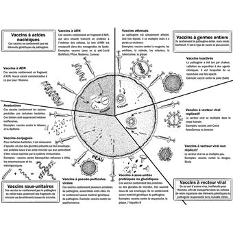 Vaccins - Petit guide par temps de covid