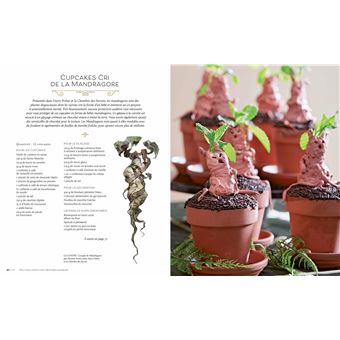 Harry Potter : Festins et festivités