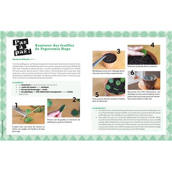 Faire pousser ses plantes gratos