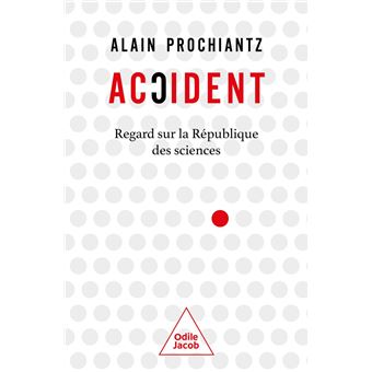 Accident - 1