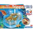 Mes premiers Triops Clémentoni