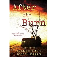 After the Burn