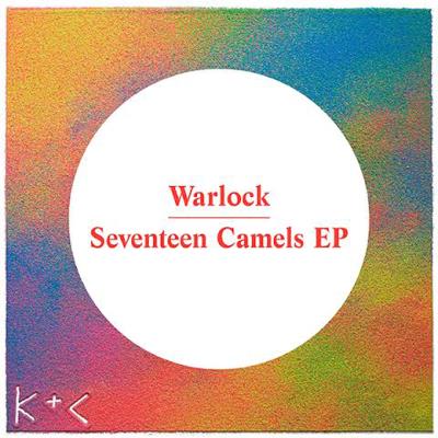Seventeen camels
