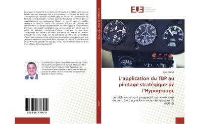 L'application du TBP au pilotage strategique de l'Hypogroupe