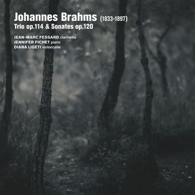 Brahms : Trio Opus 114 - Sonates Opus 120 