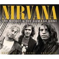 The-Needle-And-The-Damage-Done