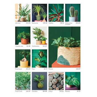 Chouchouter ses plantes