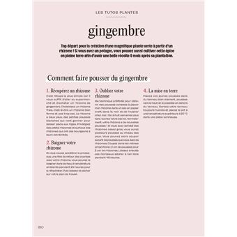 Chouchouter ses plantes