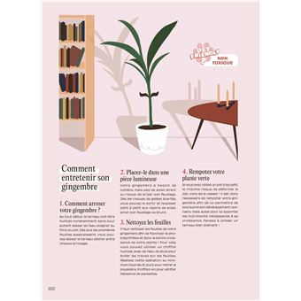 Chouchouter ses plantes