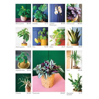 Chouchouter ses plantes