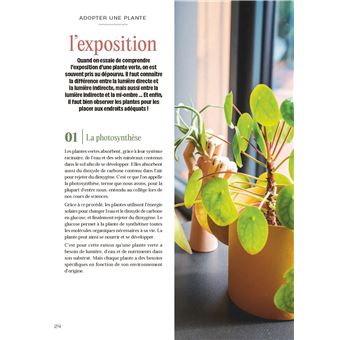 Chouchouter ses plantes