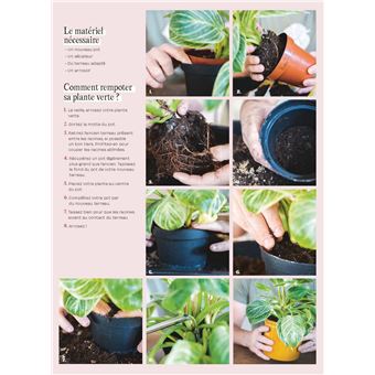 Chouchouter ses plantes