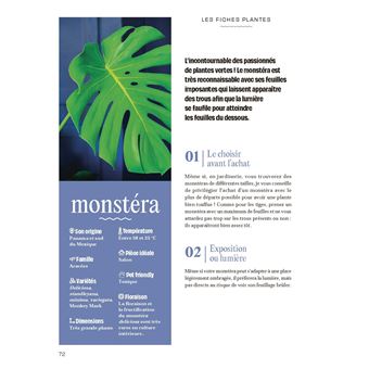 Chouchouter ses plantes