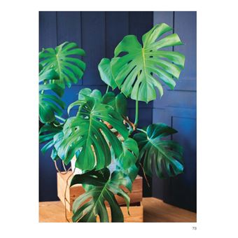 Chouchouter ses plantes