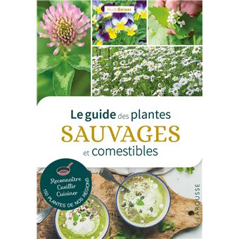 Le guide des plantes sauvages et comestibles