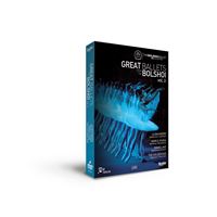 Great Ballets from the Bolshoi Volume 2 DVD
