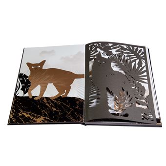 Les mille vies du chat