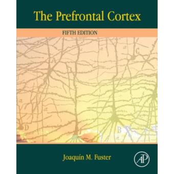 The prefrontal cortex - 1