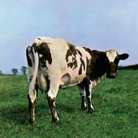 Atom heart mother/remasterise