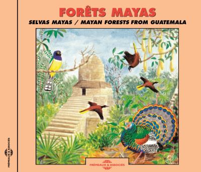 Forets mayas