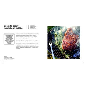 100 recettes barbecue et Plancha