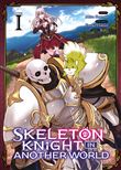 Skeleton Knight in Another World