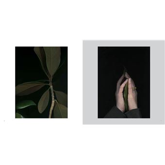 De printemps en printemps